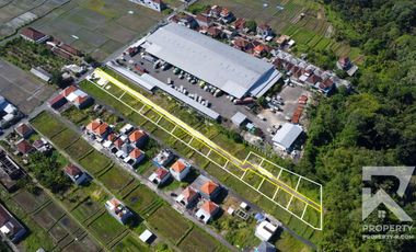 Cheap Land for Sale in Mengwi Badung Bali