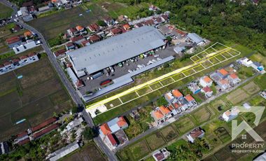 Cheap Land for Sale in Mengwi Badung Bali
