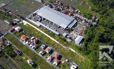 Cheap Land for Sale in Mengwi Badung Bali