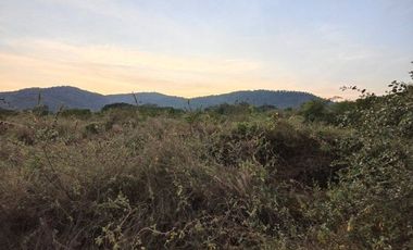 6-0-85 RAI | PRIME LAND IN CITY CENTER - OWNER MUST SELL IMMEDIATELY - HOT DEAL!