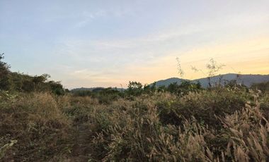 6-0-85 RAI | PRIME LAND IN CITY CENTER - OWNER MUST SELL IMMEDIATELY - HOT DEAL!