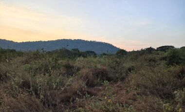 6-0-85 RAI | PRIME LAND IN CITY CENTER - OWNER MUST SELL IMMEDIATELY - HOT DEAL!