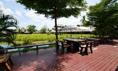 ขายด่วน ///ลดราคาพิเศษ/// คาเฟ่ฟาร์ม พื้นที่ 44ไร่ พร้อม ร้านอาหาร ร้านกาแฟ สนามฟุตบอล รีสอร์ท 10ห้อง โรงเรือน  3หลัง ดอนตูม นครปฐม