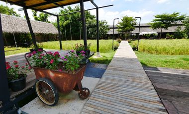 ขายด่วน ///ลดราคาพิเศษ/// คาเฟ่ฟาร์ม พื้นที่ 44ไร่ พร้อม ร้านอาหาร ร้านกาแฟ สนามฟุตบอล รีสอร์ท 10ห้อง โรงเรือน  3หลัง ดอนตูม นครปฐม