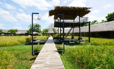 ขายด่วน ///ลดราคาพิเศษ/// คาเฟ่ฟาร์ม พื้นที่ 44ไร่ พร้อม ร้านอาหาร ร้านกาแฟ สนามฟุตบอล รีสอร์ท 10ห้อง โรงเรือน  3หลัง ดอนตูม นครปฐม
