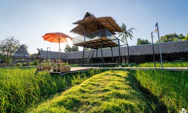 ขายด่วน ///ลดราคาพิเศษ/// คาเฟ่ฟาร์ม พื้นที่ 44ไร่ พร้อม ร้านอาหาร ร้านกาแฟ สนามฟุตบอล รีสอร์ท 10ห้อง โรงเรือน  3หลัง ดอนตูม นครปฐม