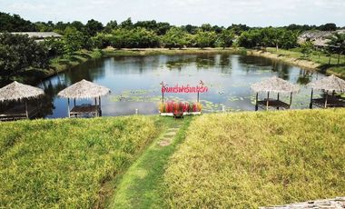 ขายด่วน ///ลดราคาพิเศษ/// คาเฟ่ฟาร์ม พื้นที่ 44ไร่ พร้อม ร้านอาหาร ร้านกาแฟ สนามฟุตบอล รีสอร์ท 10ห้อง โรงเรือน  3หลัง ดอนตูม นครปฐม