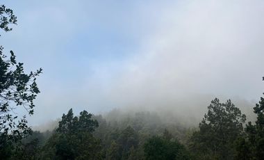 Se vende parcela plana de 5.043há en precordillera de Curicó, cerca de Parque El Buchen