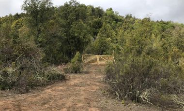 Se vende parcela plana de 5.043há en precordillera de Curicó, cerca de Parque El Buchen