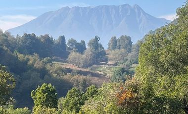 Se vende parcela plana de 5.043há en precordillera de Curicó, cerca de Parque El Buchen