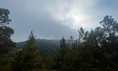 Se vende parcela plana de 5.043há en precordillera de Curicó, cerca de Parque El Buchen