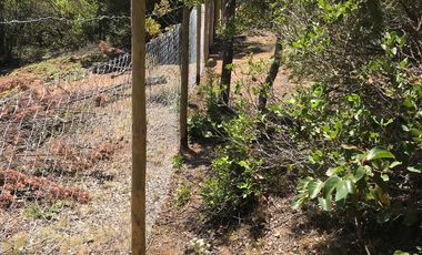 Se vende parcela plana de 5.043há en precordillera de Curicó, cerca de Parque El Buchen