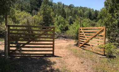 Se vende parcela plana de 5.043há en precordillera de Curicó, cerca de Parque El Buchen
