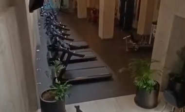 Departamento nuevo en Venta Azcapotzalco Ampliacion Petrolera, Ciudad de Mexico 25-952 mtzp