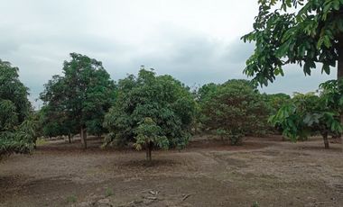 Venta de finca en Manabí, Ecuador