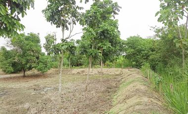 Venta de finca en Manabí, Ecuador