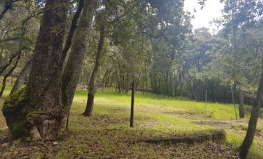 Rancho en venta, rodeado de bosque, en Espiritu Santo, Jilotzingo, Estado de México