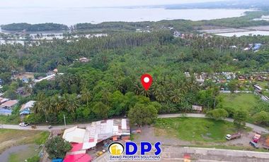 1536 square meters Vacant Lot for Sale in Bunawan, Lasang Davao City, Along cemented road
