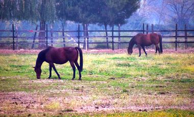 TALCA!! SAN CLEMENTE!! SE VENDE BELLO HARAS O TERRENO PARA INVERSION INMOBILIARIA