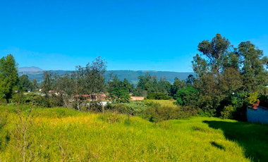 GALPONES Y TERRENO DE VENTA EN SECTOR INDUSTRIAL EN SANGOLQUÍ VÍA E35!!