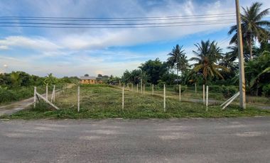 Land sale, 106sqWa.,1.14MB, ready to build a house, Khua Mung Subdistrict, Saraphi, Chiang Mai