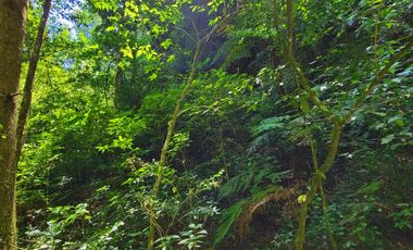 HERMOSO TERRENO CON UNA CASCADA.  EN TENANGO DE DORIA