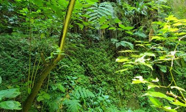 HERMOSO TERRENO CON UNA CASCADA.  EN TENANGO DE DORIA