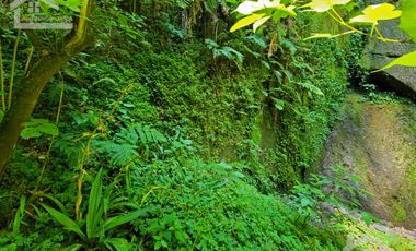 HERMOSO TERRENO CON UNA CASCADA.  EN TENANGO DE DORIA