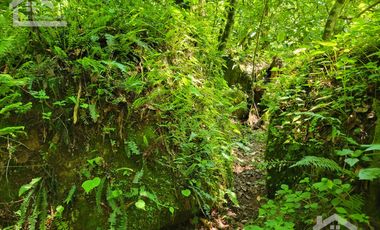 HERMOSO TERRENO CON UNA CASCADA.  EN TENANGO DE DORIA