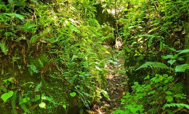 HERMOSO TERRENO CON UNA CASCADA.  EN TENANGO DE DORIA