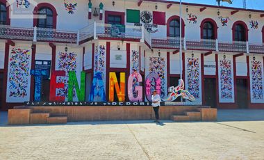 HERMOSO TERRENO CON UNA CASCADA.  EN TENANGO DE DORIA