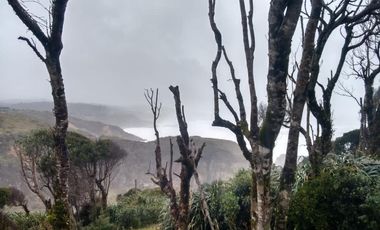 Terreno de dos hectáreas en Huiro comuna Corral