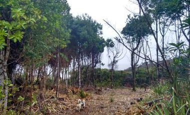 Terreno de dos hectáreas en Huiro comuna Corral