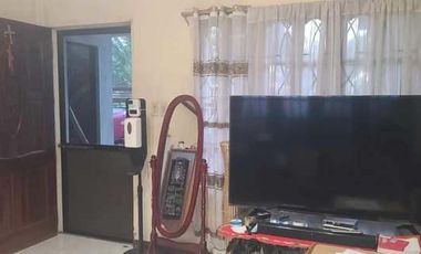 TWO-STOREY HOUSE AND LOT FOR SALE IN DUMAGUETE CITY ID 14882