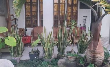 TWO-STOREY HOUSE AND LOT FOR SALE IN DUMAGUETE CITY ID 14882