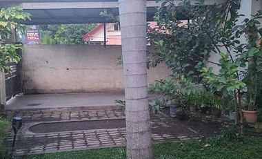 TWO-STOREY HOUSE AND LOT FOR SALE IN DUMAGUETE CITY ID 14882