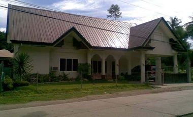 TWO-STOREY HOUSE AND LOT FOR SALE IN DUMAGUETE CITY ID 14882