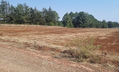 TERRENO DE 4 HECTÁREAS EN SAN JOSÉ OCOTILLOS