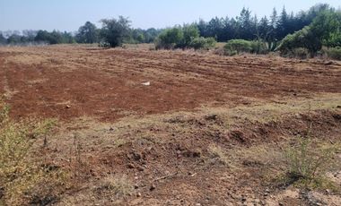 TERRENO DE 4 HECTÁREAS EN SAN JOSÉ OCOTILLOS
