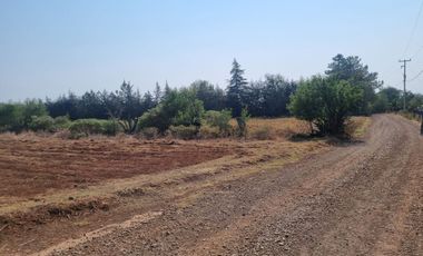 TERRENO DE 4 HECTÁREAS EN SAN JOSÉ OCOTILLOS