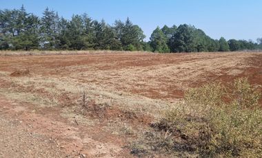TERRENO DE 4 HECTÁREAS EN SAN JOSÉ OCOTILLOS