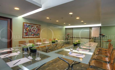 Newly Renovated Fully Furnish Spacious Studio in Malayan Plaza Ortigas Mandaluyong