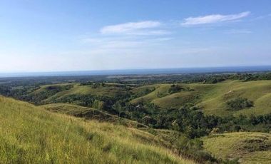 A FREEHOLD LAND IN SUMBA