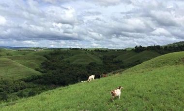 A FREEHOLD LAND IN SUMBA