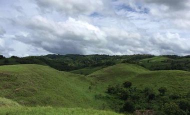 A FREEHOLD LAND IN SUMBA