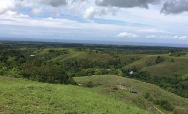 A FREEHOLD LAND IN SUMBA