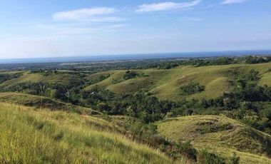 A FREEHOLD LAND IN SUMBA