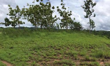 A FREEHOLD LAND IN SUMBA