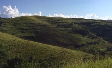 A FREEHOLD LAND IN SUMBA