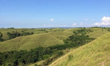 A FREEHOLD LAND IN SUMBA